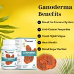 Ganoderma Capsules