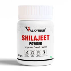 shilajit powder