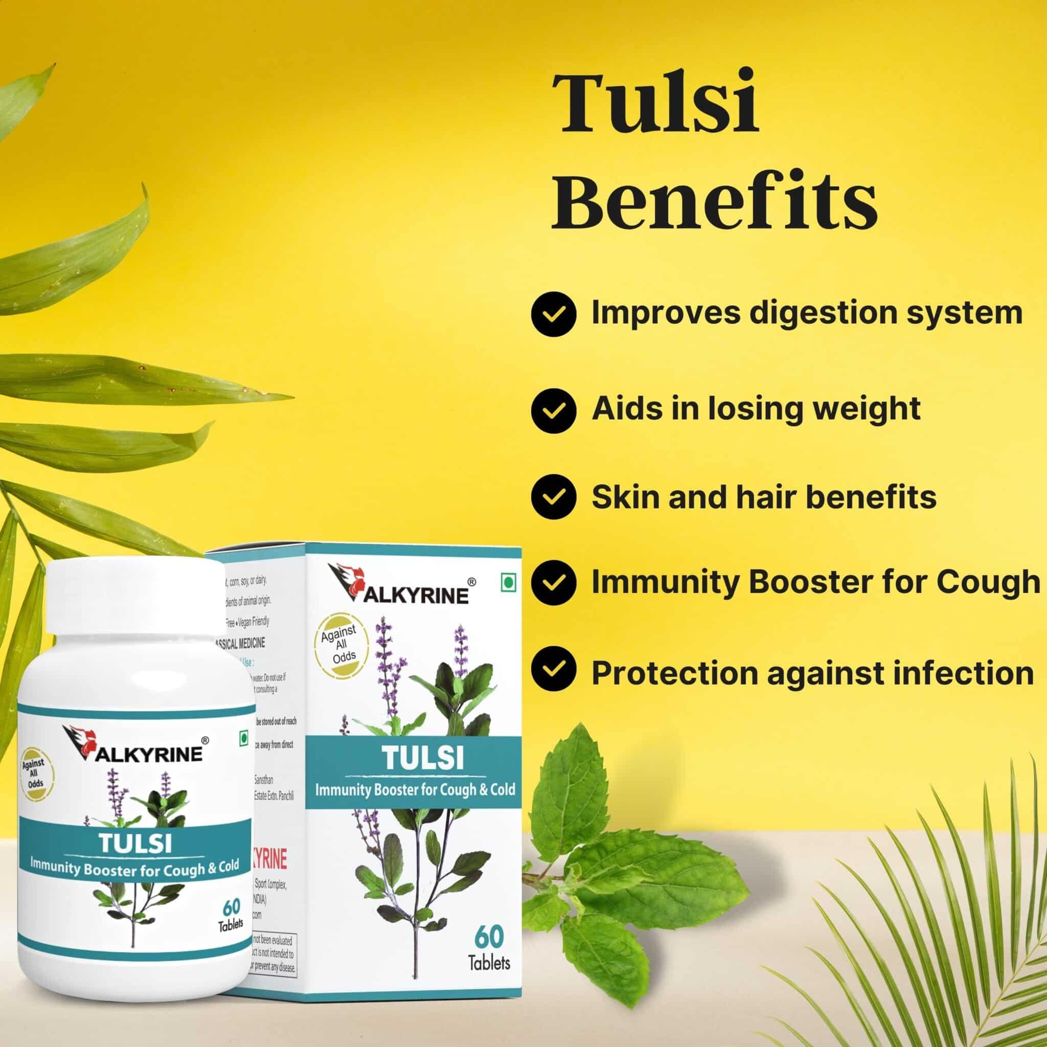 Organic Tulsi Cultivation - Valkyrine Sustainable Farming