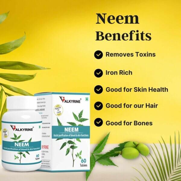 Fresh Neem Leaves - Source of Active Compounds