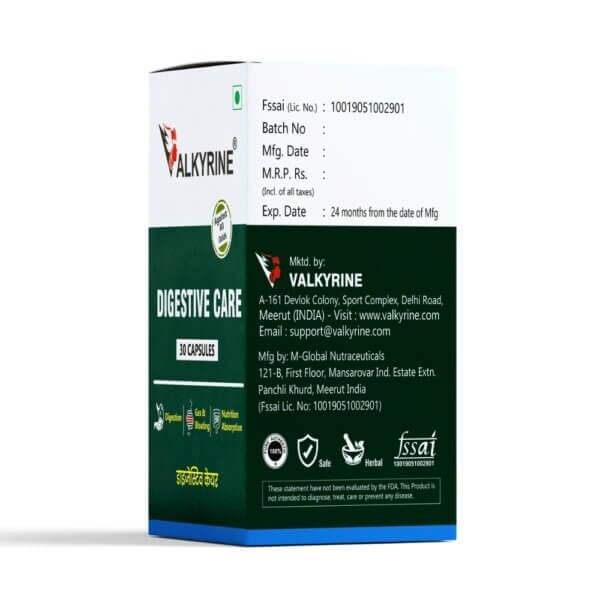 digestive care digestion