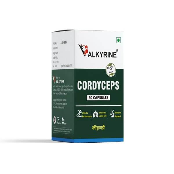Organic Cordyceps Militaris Cultivation - Sustainable Indoor Farming
